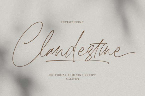Clandestine: A Feminine Script Font for Elegant Web Design