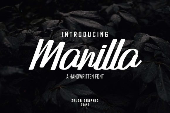 Manilla: A Real-World Review for Branding Projects