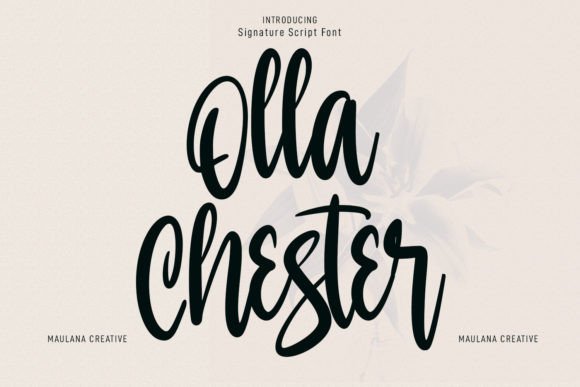 Olla Chester: A Modern Script Font for Makers