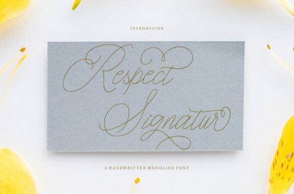 Respect Signature: A Refined Script Font for Editorial Elegance