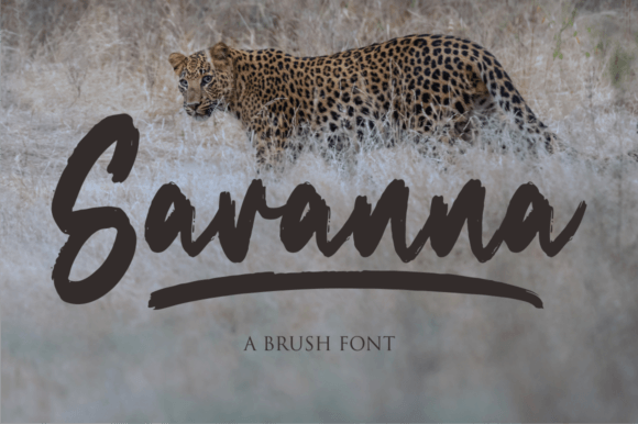 Savanna: A Premium Brush Script Font for Your Brand