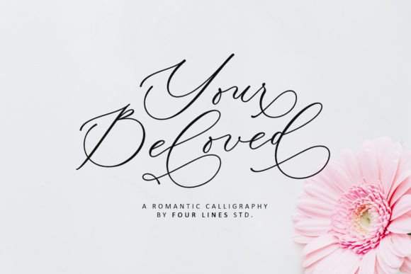 Your Beloved: A Designer's Honest Review